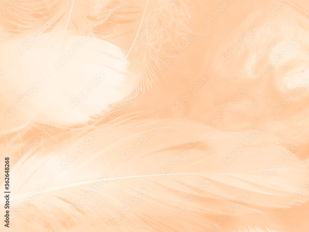 Beautiful abstract white and light orange feathers on white background, soft brown feather texture on white patter, yellow feather background