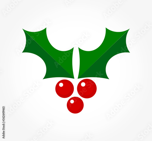 Holly berries plant Christmas symbol.