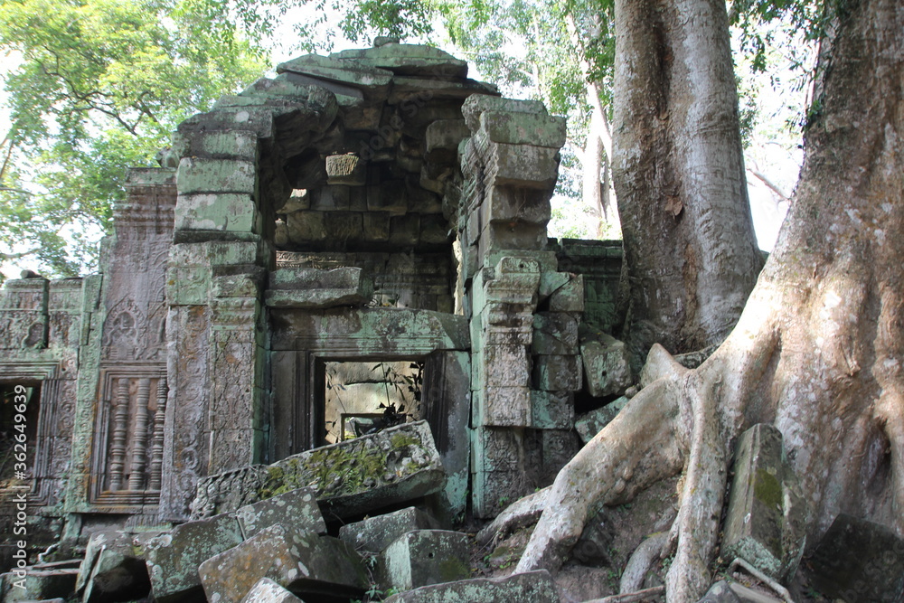 Angkor temple in Cambodia with large trees Angkor temple in Cambodia with large trees