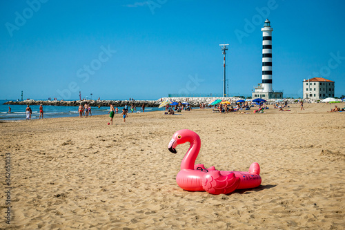 Flamingo am Strand