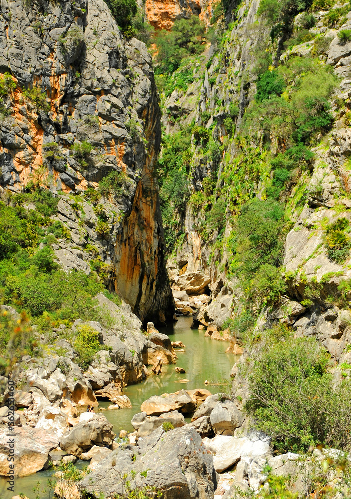 Canyon of Buitreras at the Alcornocales Natural Park. Province of Malaga, Andalusia, Spain