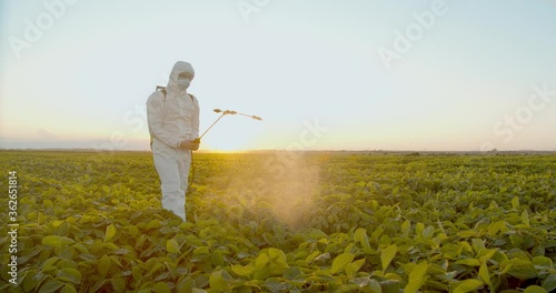 Spray ecological pesticide. Farmer fumigate in protective suit and mask Spraying Fertilizers on soybean plant field. Man spraying toxic pesticides, pesticide, insecticides