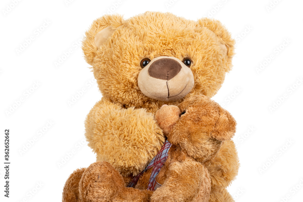 Teddy bear with little bear on white background. Teddy bear with little bear on white background.