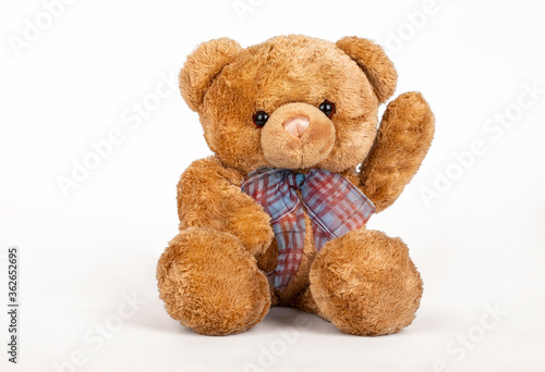 Teddy bear seated on white background.