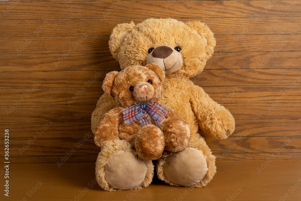 Teddy bear with little bear indoors. Teddy bear with little bear indoors.