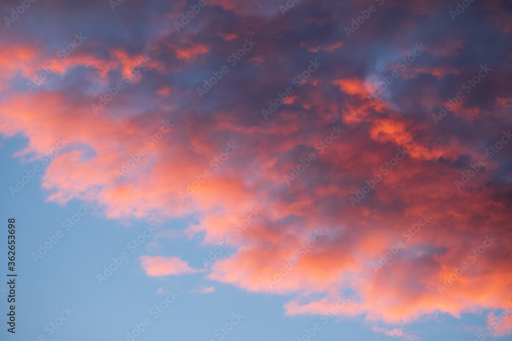 Cotton candy clouds at sunset