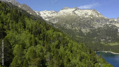 Forest in the mountains with lake - 4K