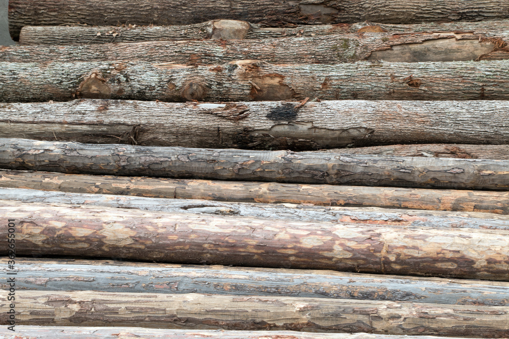 timber timber