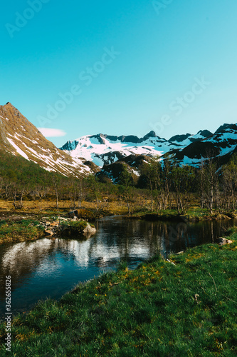 Natural scandinavian landscape - calm river, mountains, stones, small plants, forest and rocks. Summer time in the northern Norway, Senja island. 