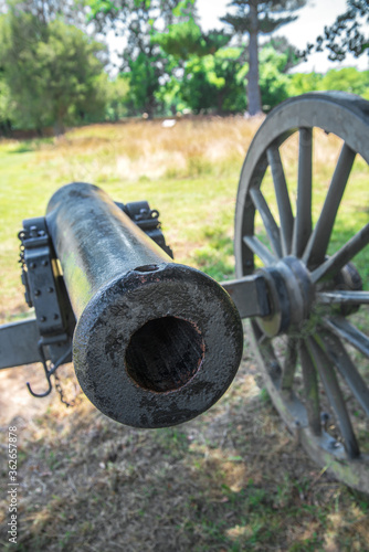 gun in the park