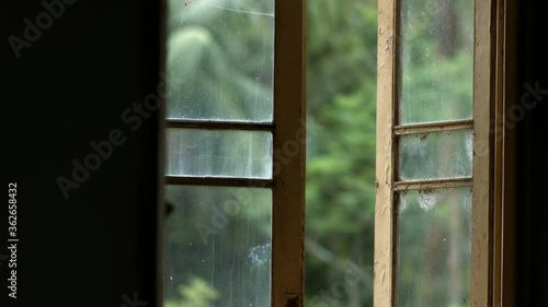 Half opened word out yellow old window with a view of a jungle