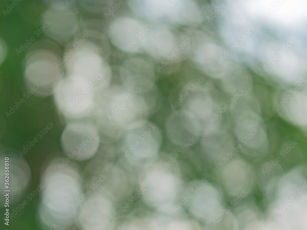 Obraz premium blurred bokeh light defocused background and textured for Christmas , New Year holidays party and celebration background,