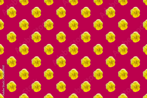 Yellow viola flowers seamless pattern isolated on red background