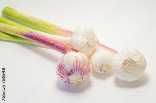 Young Garlic On White Background. Isolated