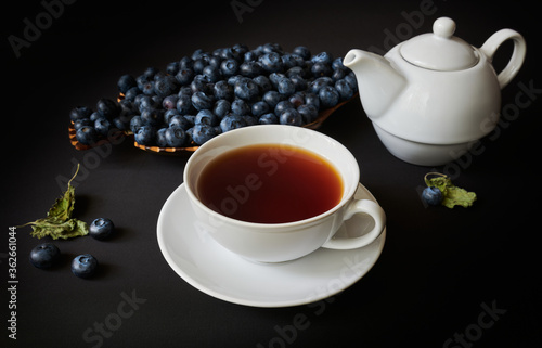 Still life, cup with tea, teapot, blueberry and dry leaves of mellisa on dark background