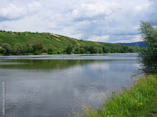 Ein Blick auf die Mosel und die gegenüberliegenden Weinberge in Rheinland Pfalz in Deutschland - A view of the Moselle and the opposite vineyards in Rhineland Palatinate in Germany