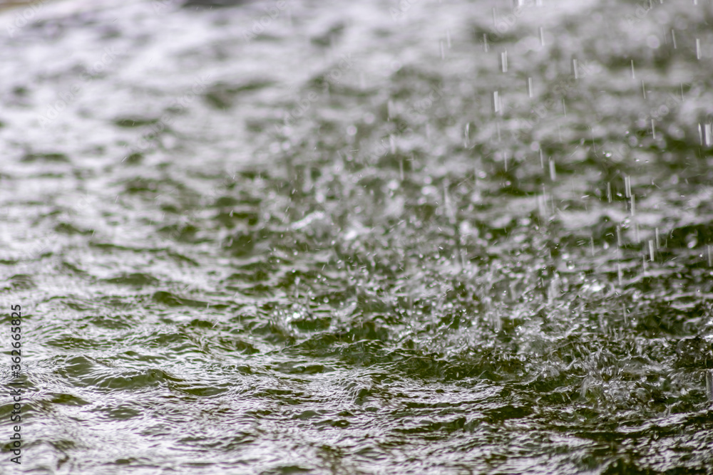 Raindrops falling to the floor in heavy rain day into a puddle on an splashy country road in spring offer a refreshing water shower for plants and trees after an absolute drought and meagerness Raindrops falling to the floor in heavy rain day into a puddle on an splashy country road in spring offer a refreshing water shower for plants and trees after an absolute drought and meagerness