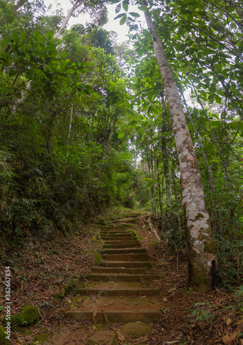 Hiking trail in national park