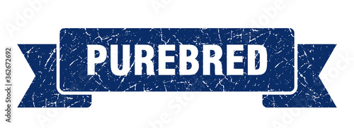 purebred ribbon. purebred grunge band sign. purebred banner