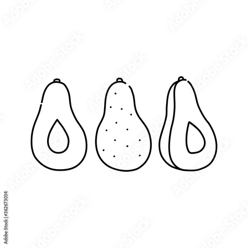 Set of hand drawn avocado in black line, simple icon in doodle style. Vector illustration on isolated white background. 