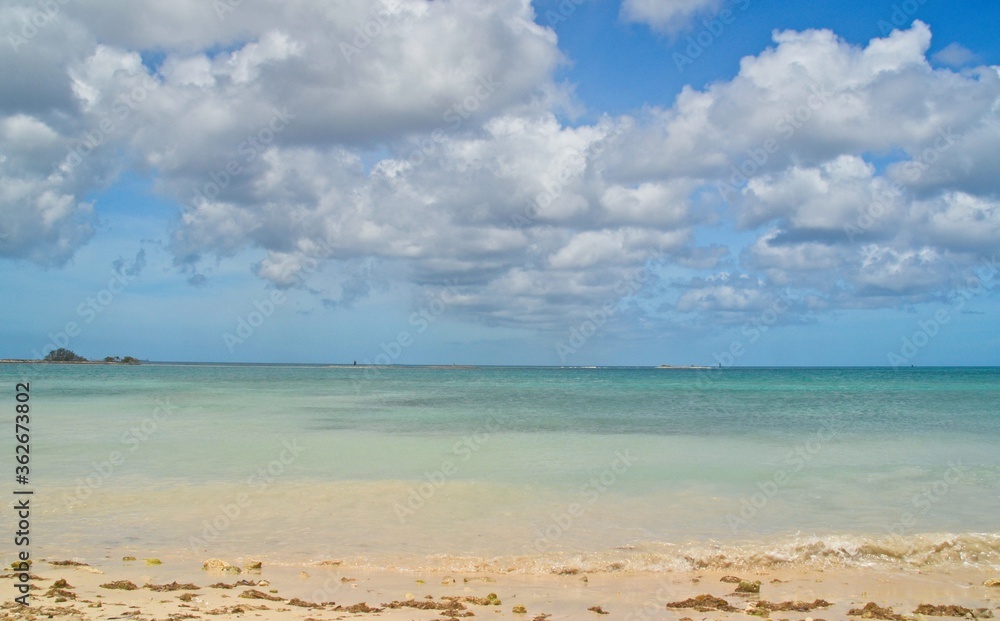 Obraz premium Sea view at sunny Caribbean day 
