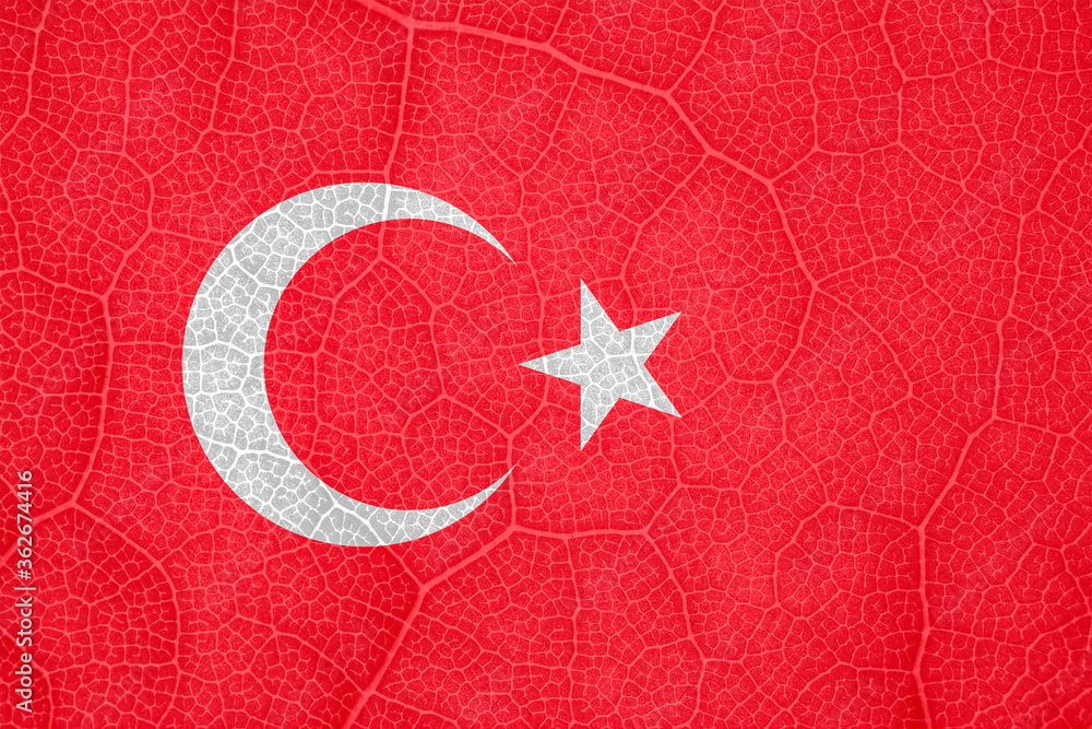 Obraz premium Turkish flag on the structure of a tree leaf macro