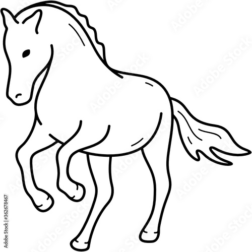 Thoroughbred horse