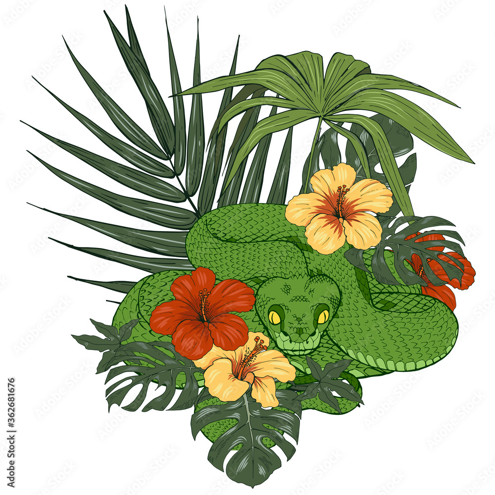 Fototapeta premium green snake among tropical leaves and flowers, vector illustration