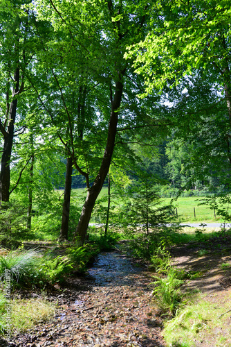 Kahlquelle im Landkreis Aschaffenburg in Unterfranken