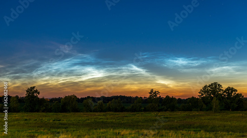 Night landscape with silvery blue noctilucent clouds  NLC  shining over the horizon in twilight