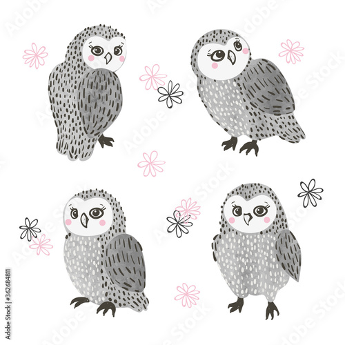 Owls vector illustration. S...
