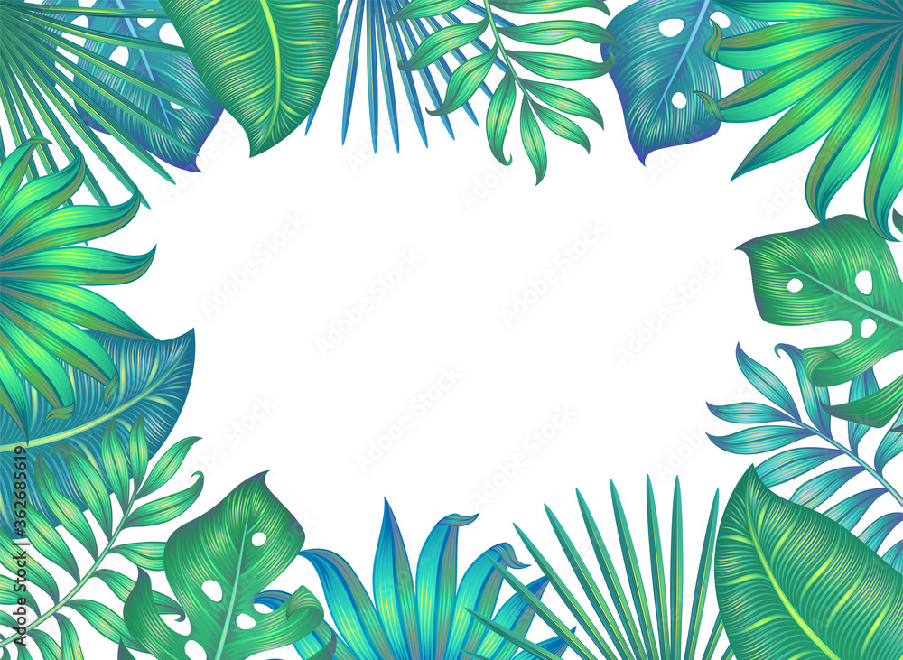 Frame with different tropical leaves isolated on white. Vector illustration. Frame with different tropical leaves isolated on white. Vector illustration.