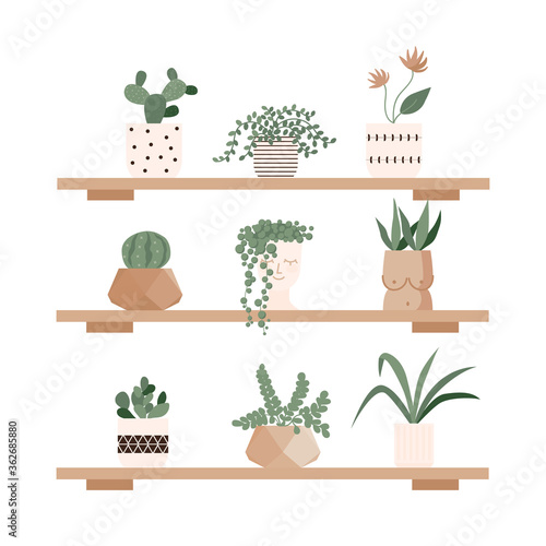 Urban jungle, home plants set in cute pots on the shelves. Gardening, greenhouse, planters, cacti, tropical leaves as home decor. Hand drawn flat vector elements for greeting cards, poster, banner