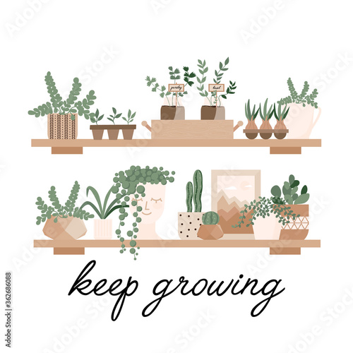 Urban jungle, home plants set in cute pots on the shelves. Gardening, greenhouse, planters, cacti, tropical leaves as home decor. Hand drawn flat vector elements for greeting cards, poster, banner