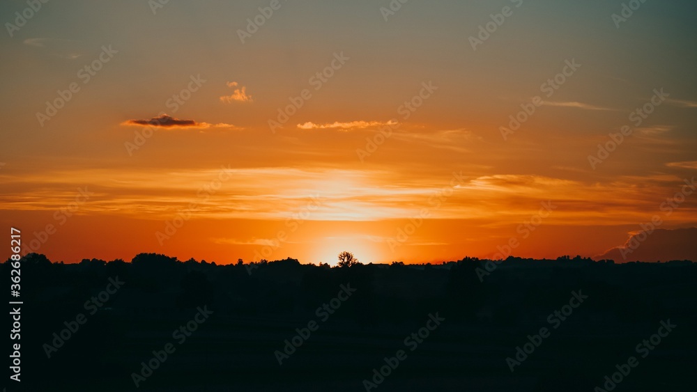 Beautiful sunset with silhouettes of trees in the evening. 16:9 panoramic format