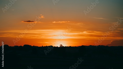 Beautiful sunset with silhouettes of trees in the evening. 16 9 panoramic format
