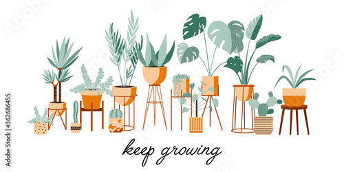 Plant lady green house. Set of cute plants in pots, planters, cacti, tropical leaves. Urban jungle banner, greeting card print. House interior decor elements. Houseplants growing, Home gardening