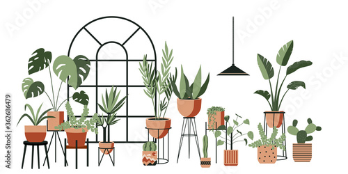 Plant lady green house. Set of cute plants in pots, planters, cacti, tropical leaves. Urban jungle banner, greeting card print. House interior decor elements. Houseplants growing, Home gardening