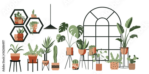 Plant lady green house. Set of cute plants in pots, planters, cacti, tropical leaves. Urban jungle banner, greeting card print. House interior decor elements. Houseplants growing, Home gardening
