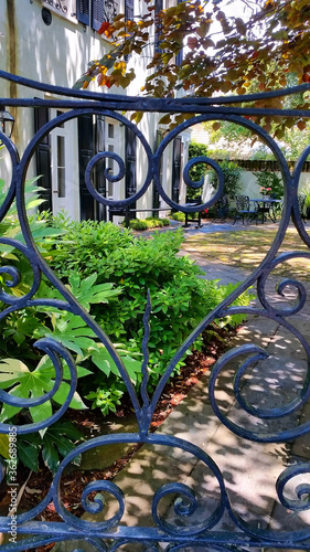 Wallpaper Mural Iron fence in Charleston Torontodigital.ca