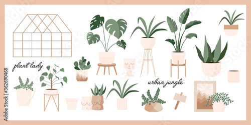 Glass greenhouse with tropical plants. Botanical home garden. House plants and flowers in pots. Gardening elements. Winter garden. Crazy plant lady hand drawn print for postcard, poster, banner.