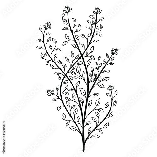 Plant leaves flowers hand drawn vector illustration