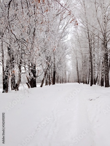 snow covered road