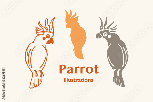 Illustrations of a Cockatoo (Parrot) 