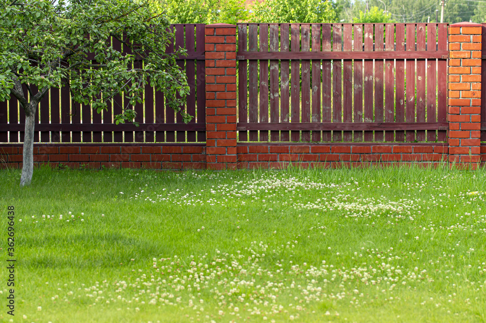 Fence made of red bricks and wood. Summer scenic yard with apple tree and lush green grass. Copy space Fence made of red bricks and wood. Summer scenic yard with apple tree and lush green grass. Copy space
