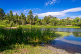This image was captured at Granite Basin Lake in the Granite Mountain Recreational area in Prescott, Arizona. Cattails and lily pads are seen by the shoreline.