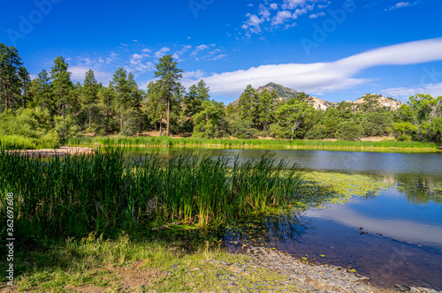 This image was captured at Granite Basin Lake in the Granite Mountain Recreational area in Prescott, Arizona. Cattails and lily pads are seen by the shoreline.