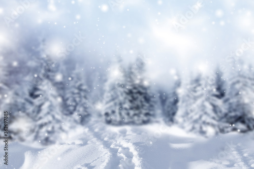 Winter background of snow and the frost with free space for your decoration. Christmas background. © beldesigne