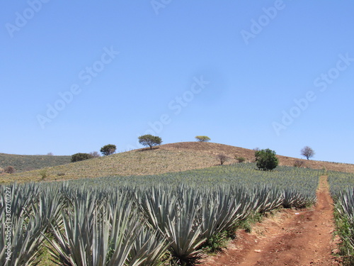 ETZATLAN, JALISCO, MEXICO
