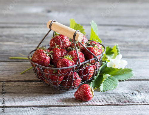 Strawberries in a basket on a wooden background in summer